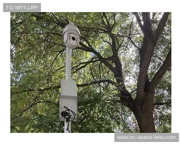 智能化巡检系统引入信号质量监控，保障大型赛事直播零事故